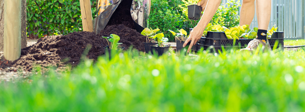 14.06.2022 – Tipps für Ihre Gartengestaltung!